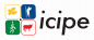 International Centre of Insect Physiology and Ecology (icipe)